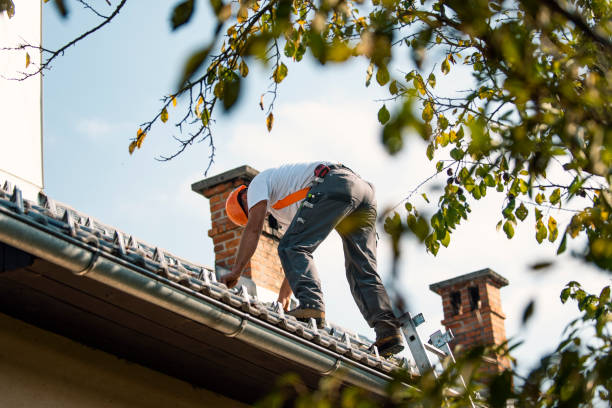 Quick and Trustworthy Emergency Roof Repair Services in Crawfordville, FL