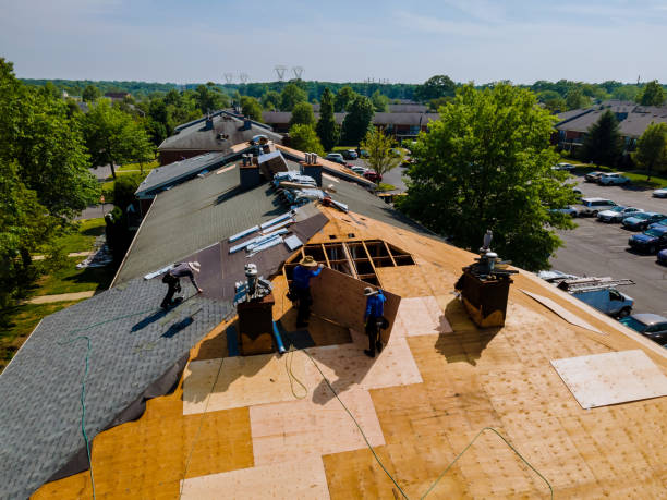Residential Roof Replacement in Crawfordville, FL
