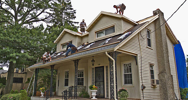 Professional Roofing Contractor in Crawfordville, FL