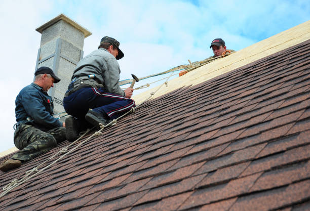 Best Shingle Roofing Installation  in Crawfordville, FL