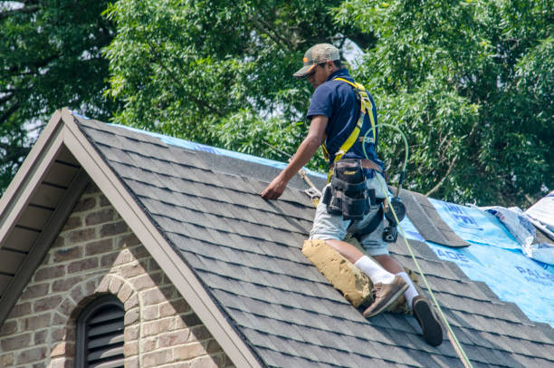 Best New Roof Installation  in Crawfordville, FL